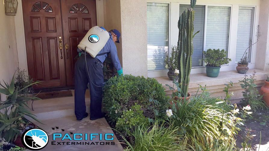 Keeping your home pest free!