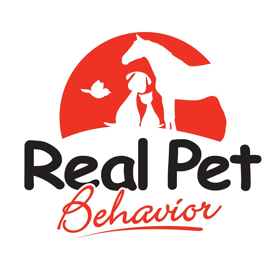 Real Pet Behavior