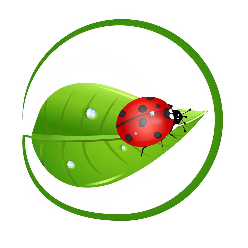 Ladybug Balanced Health LLC