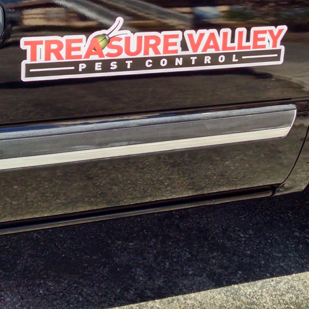 Treasure Valley Pest Control