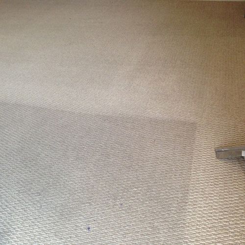 Actual carpet cleaning job; amateur photo taken wi