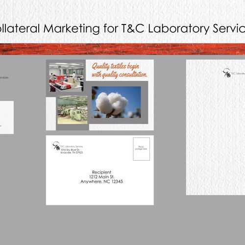 T&C Laboratory Services, Collateral Marketing Kit,
