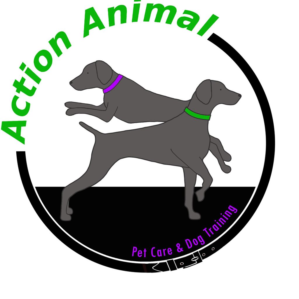 Action Animal Pet Care & Dog Training
