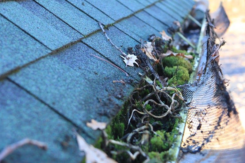 No job is too dirty for our experience, even when 