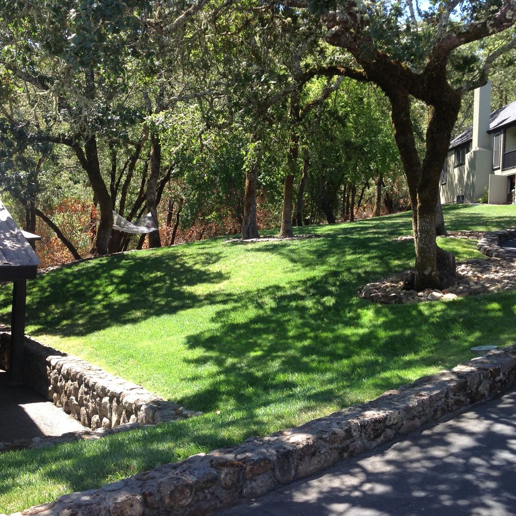 Commercial Maintenance