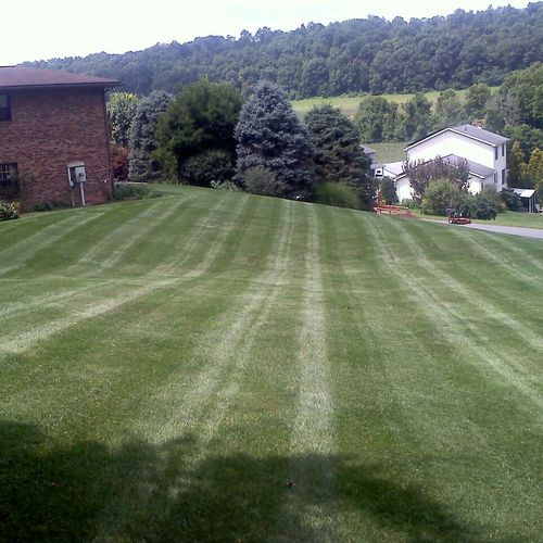 Lawns done right!