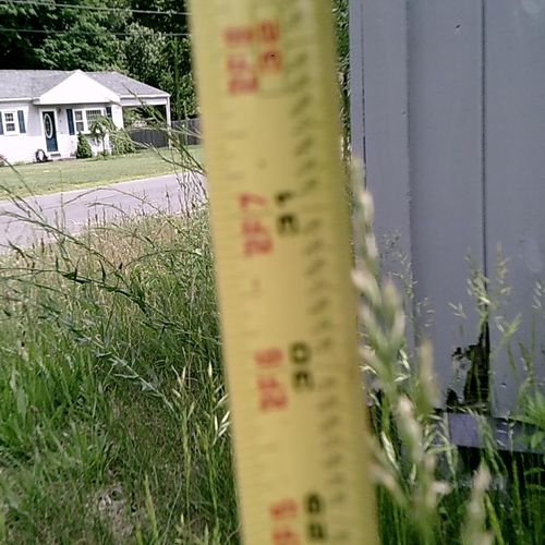 31 inch tall grass