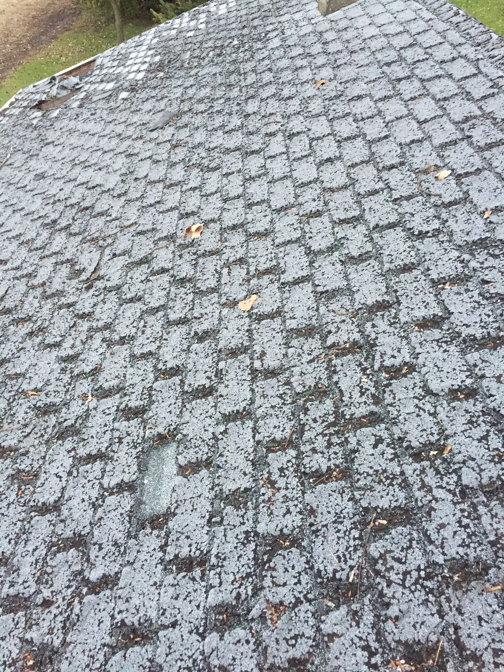This roof needed to be replaced years ago. 