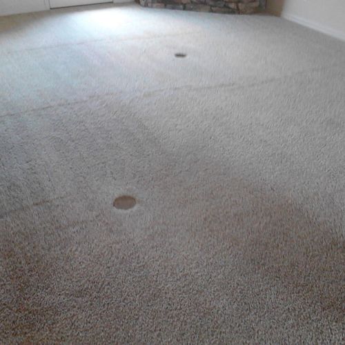 Your carpets will look new in 2 - 3 hour dry time