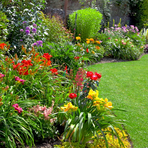 All our gardens are designed with color in mind al