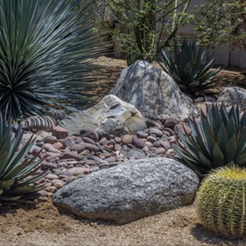 Xeriscape installation with cactus, decorative sto