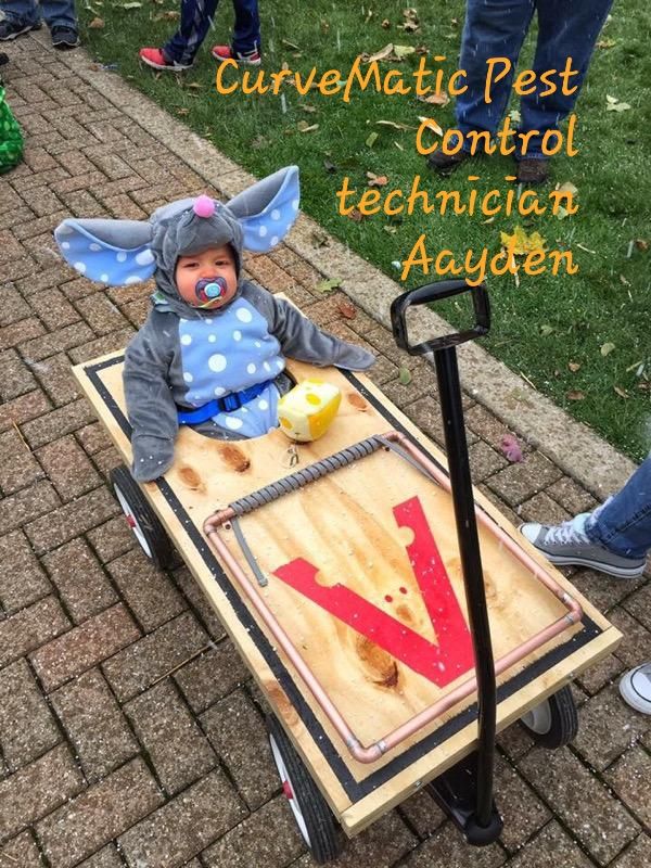 caught the wrong mouse