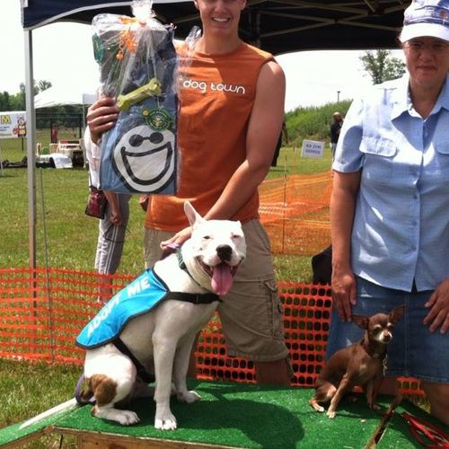Ex-Foster dog, Aries won the dog show! "Best in sh