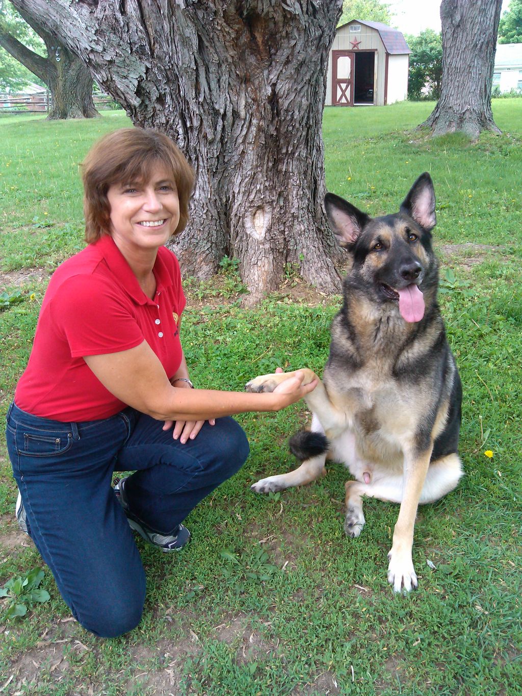 Raise the Bar Dog Training