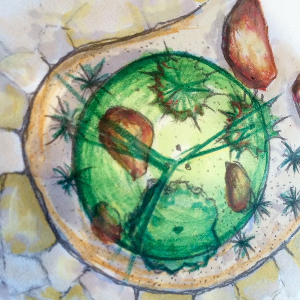 Flagstone Patio Island Design with Gravel Garden /