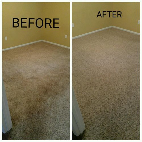 We will make your carpets look new again!