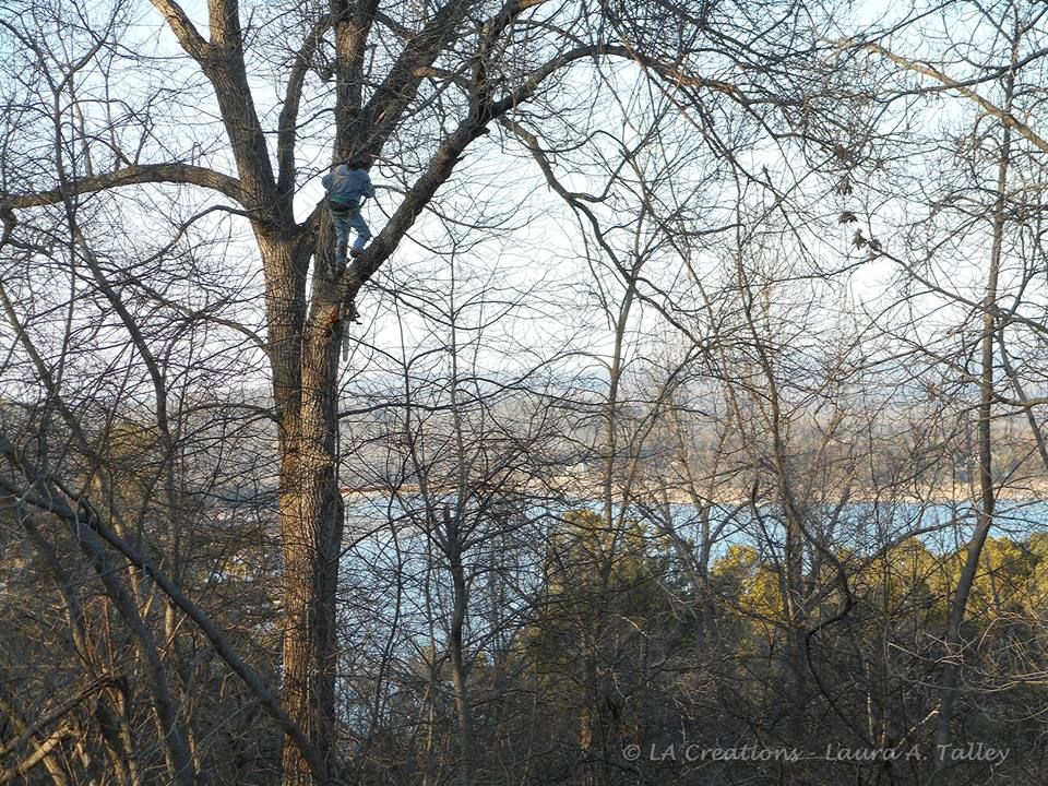 Creating a lake view before the trees were topped.