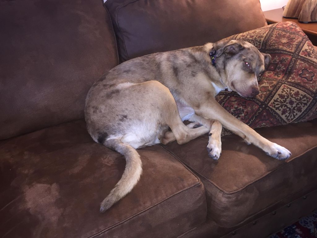On the furniture... no problem 