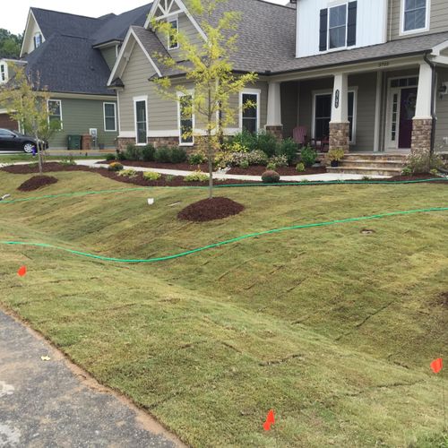 Sod after new contruction