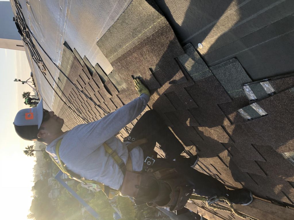 Alpha Roofing