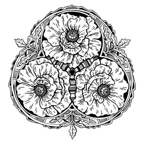 Poppies - 
Radial Botanical Illustration - 
Ink