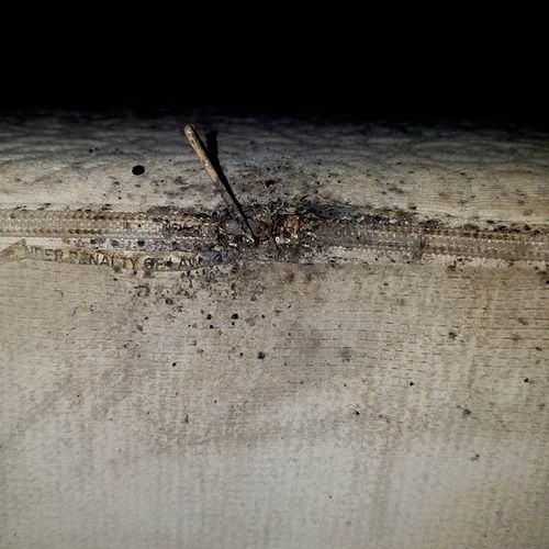 From another bed bug treatment!