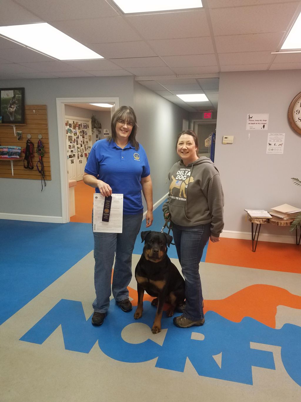Finn and his owner Kellie-Jean earning their Canin