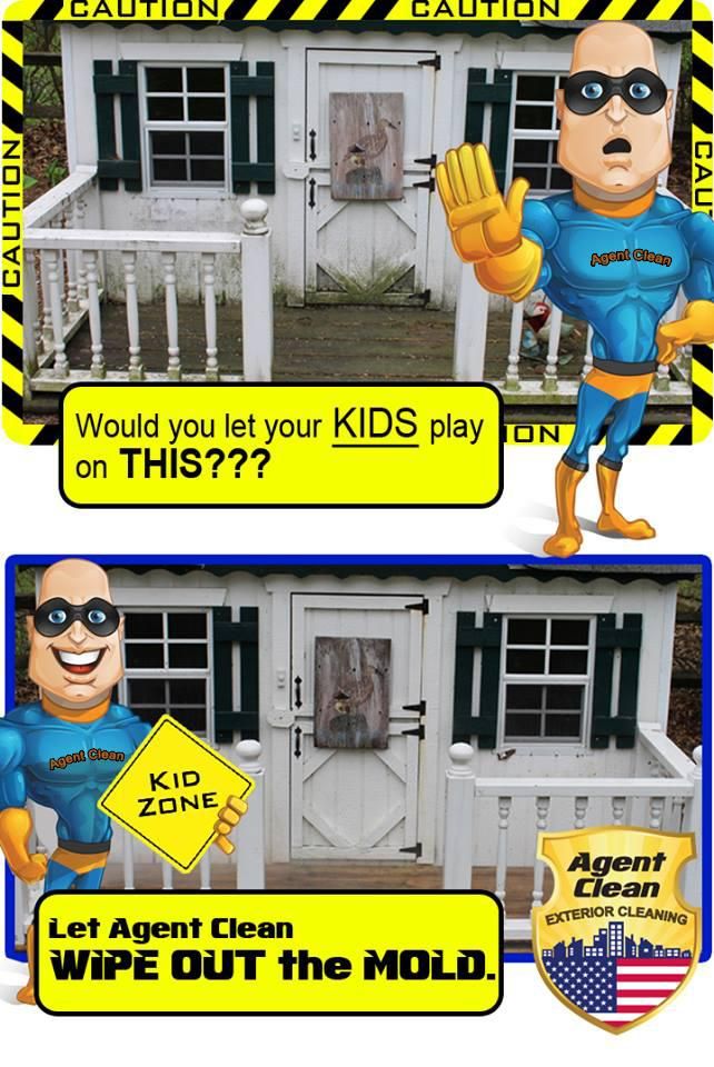 Play sets are hosts to many germs and parasites. L