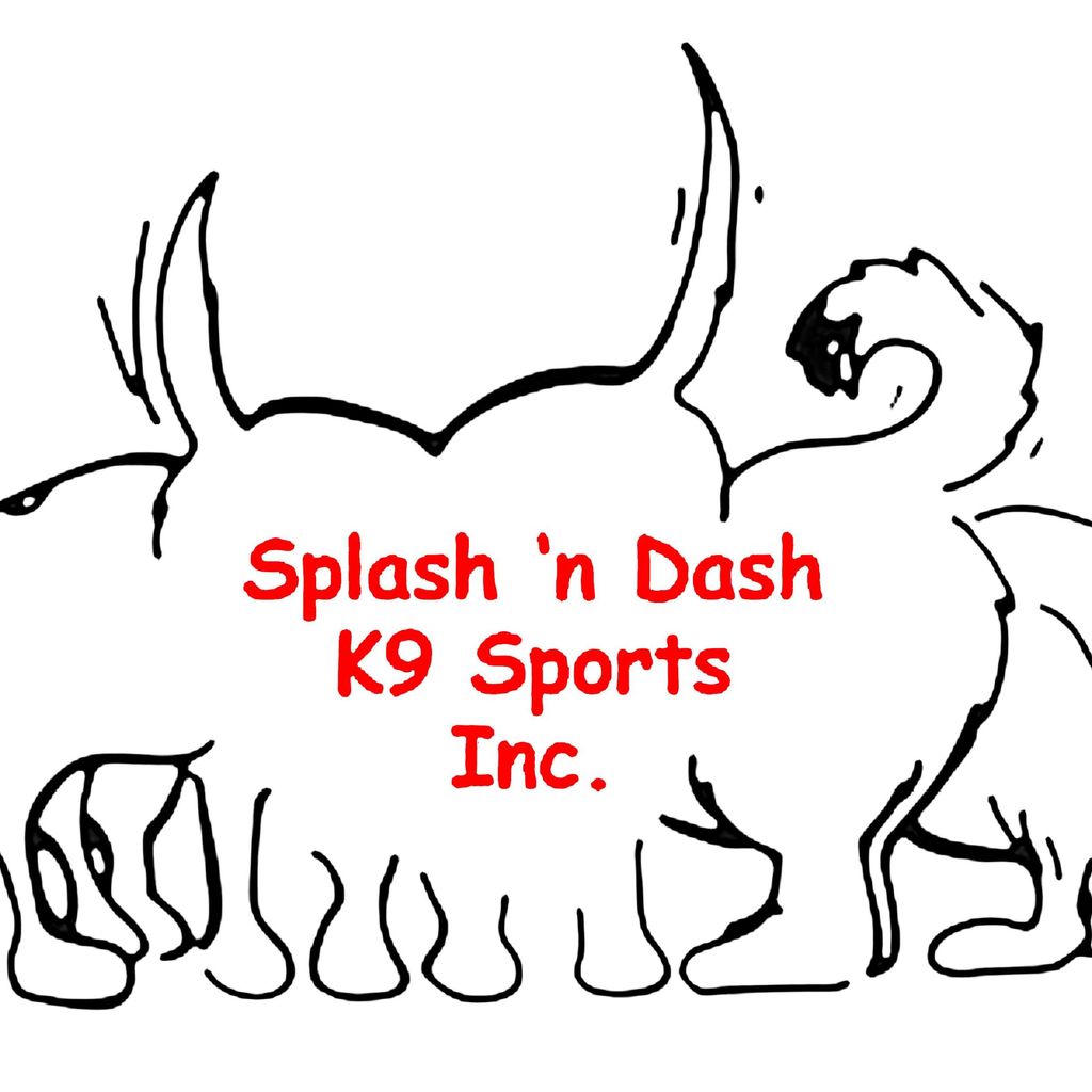 Splash 'N Dash K9 Sports