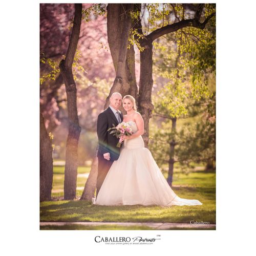 Wedding Photographer, 
New York, California & Colo