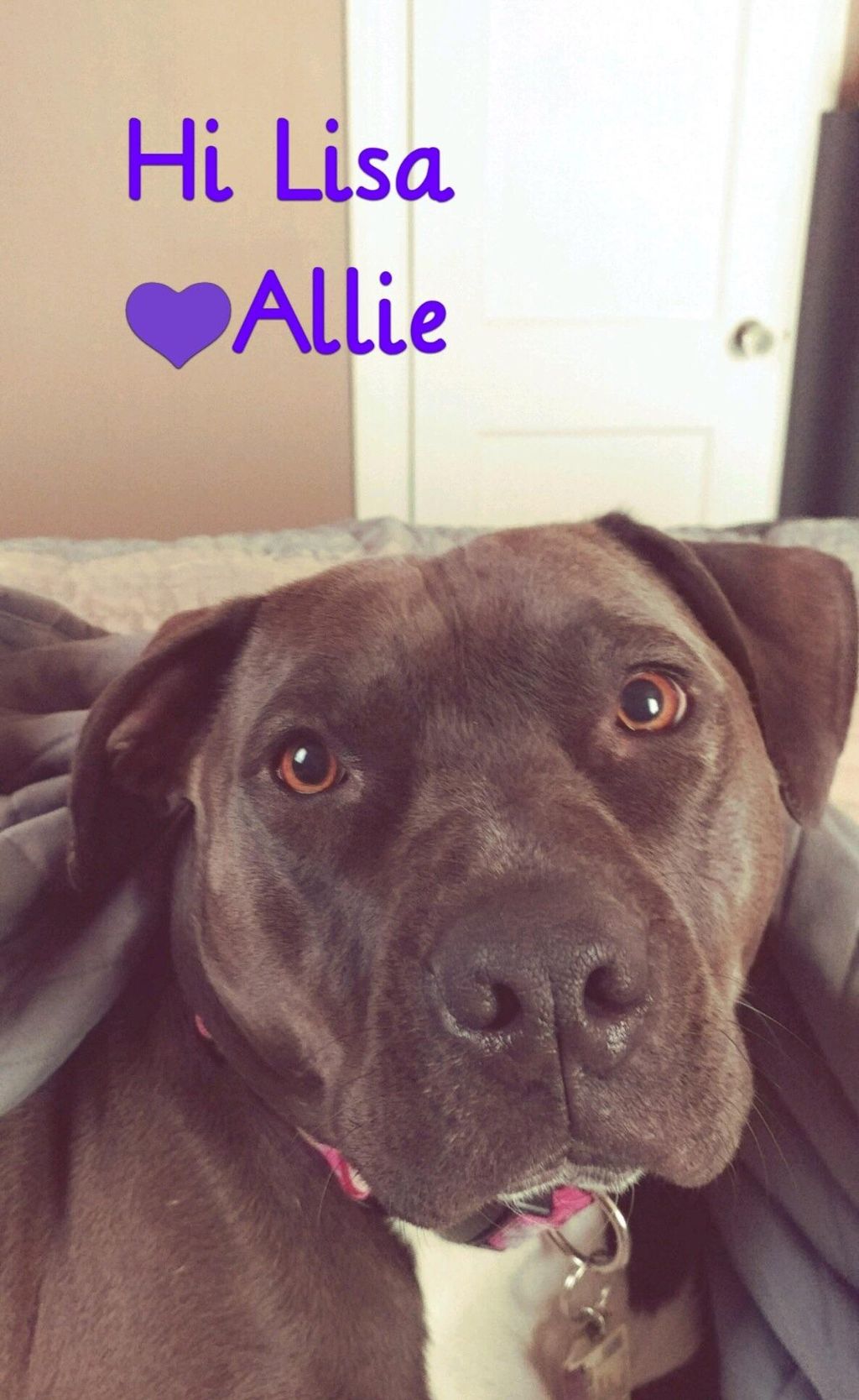 Loves to learn and please