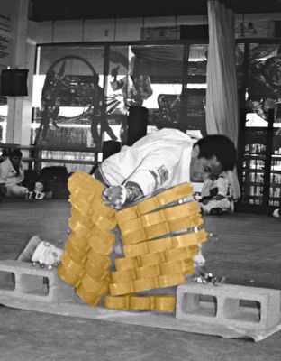 Avatar for Alonzo Martial Arts