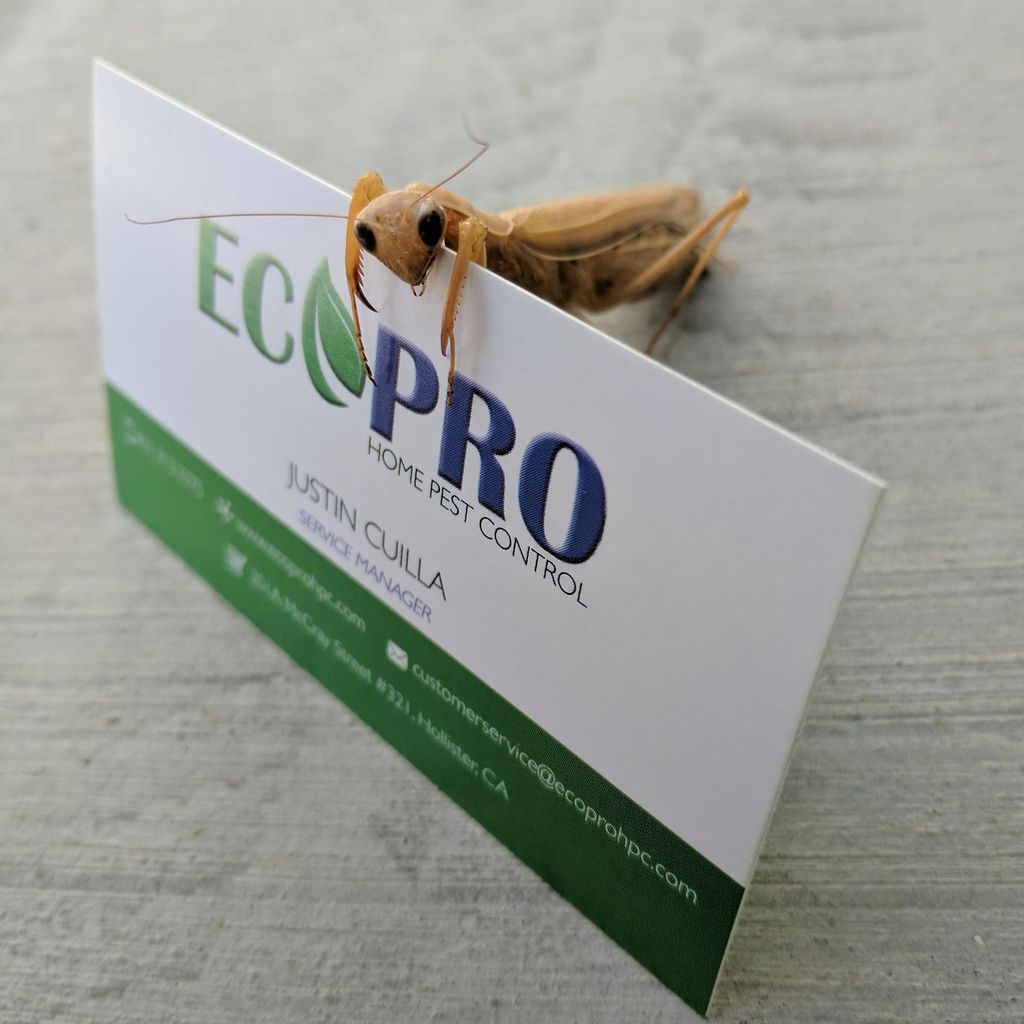 EcoPro Home Pest Control
