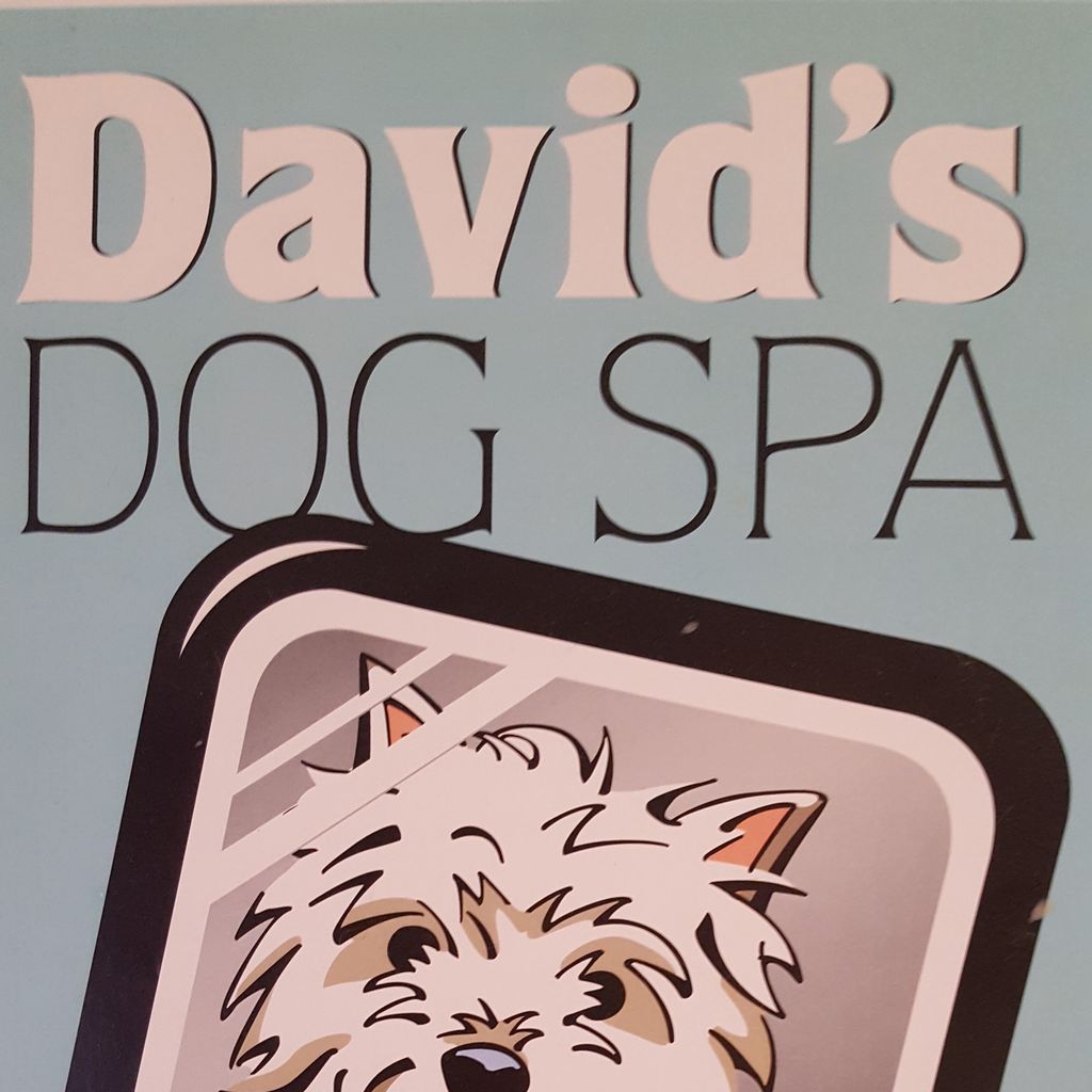 David's Dog Spa