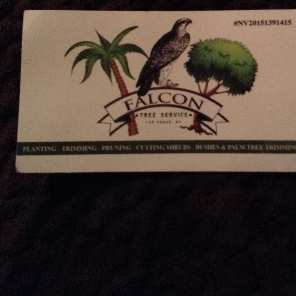 Falcon tree service