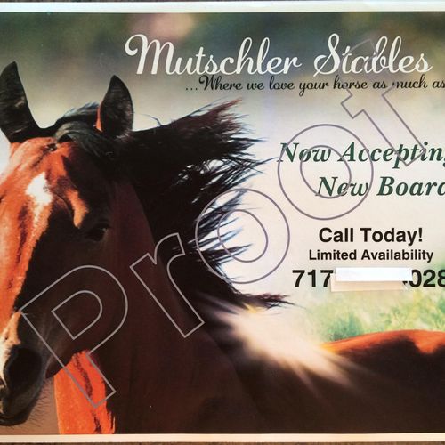 Designed post card for horse stable