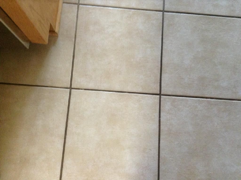 Tile and Grout before
