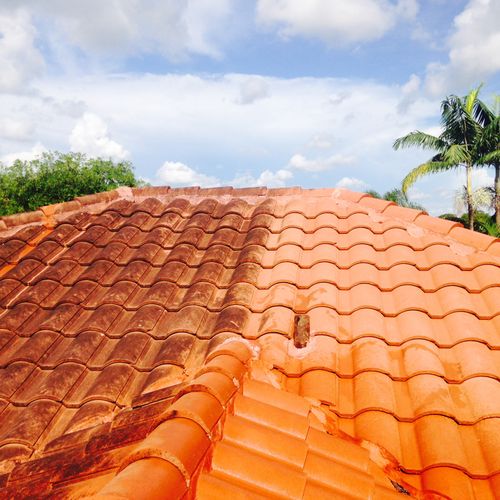 Roof Cleaning including shingle, metal and all typ