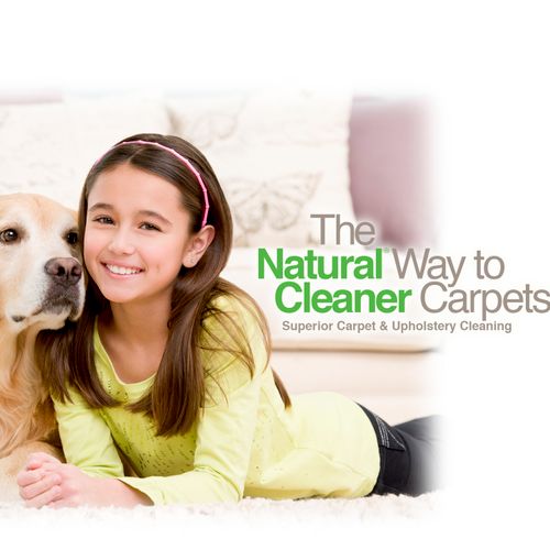 pet friendly healthy home cleaning