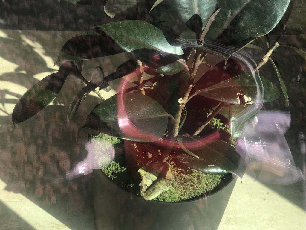 Same window, water stains nearly gone 