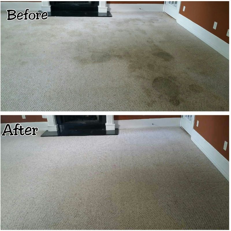 Carpet Cleaning Before and After