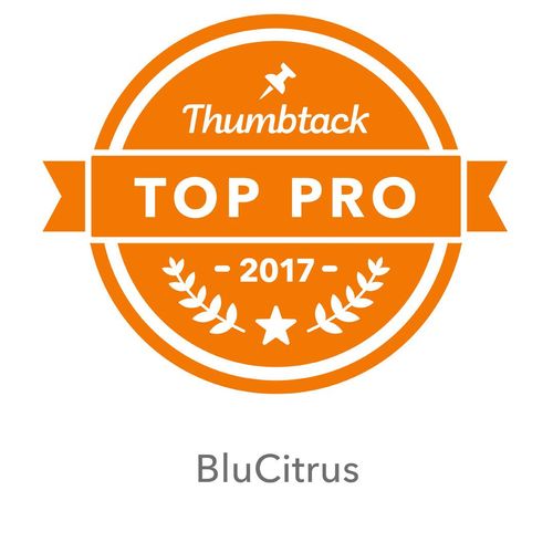 BluCitrus has been awarded Top Pro in 2017 for  th