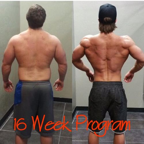 16 Week Program - Men's Physique