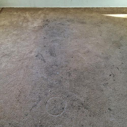Before of make-ready carpet cleaning