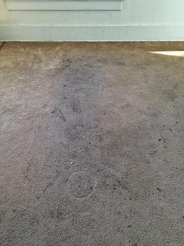 Before of make-ready carpet cleaning