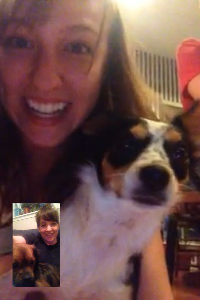 Gotta keep in touch with Rufus!