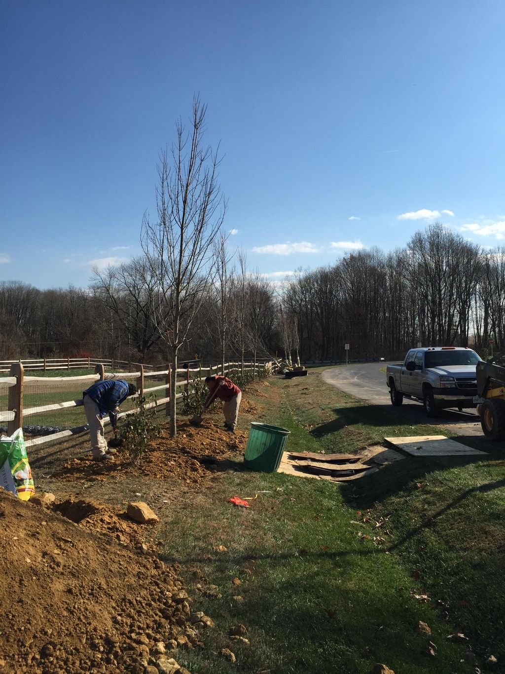 Working on a commercial tree planting 