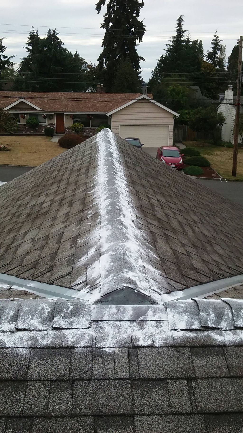 Moss prevention treatment