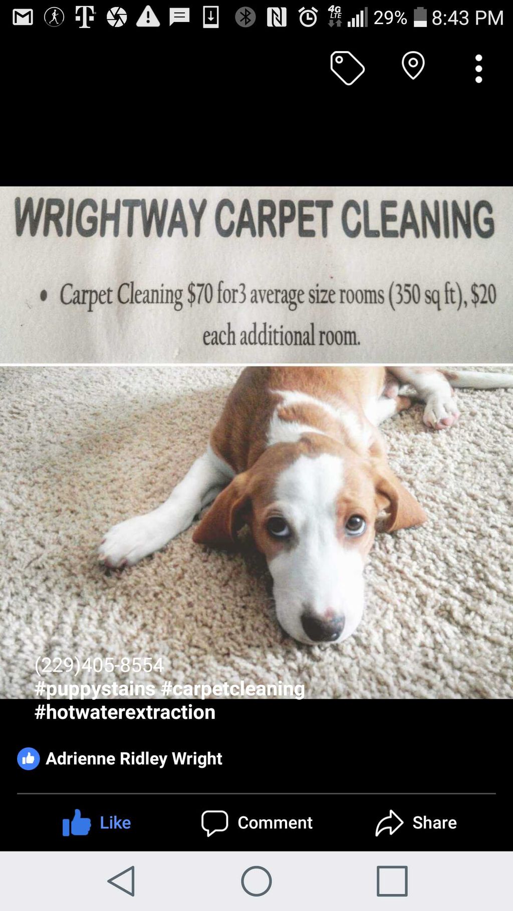Wrightway Carpet & Upholstery Cleaning