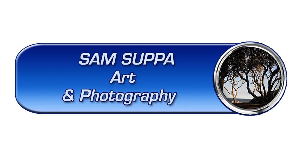 Custom Logo design, basic to complex